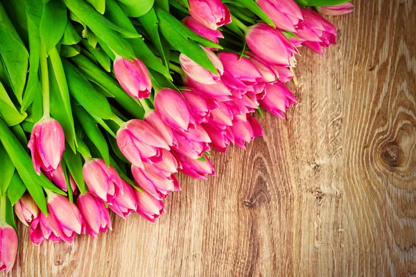 Tulipanes Flores —  Fotos de Stock