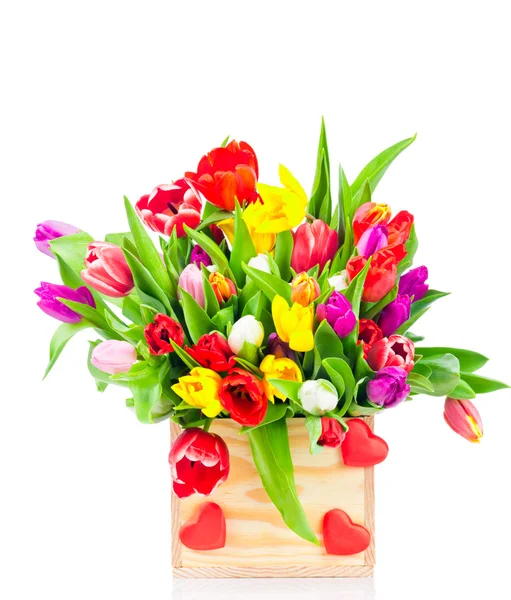 Misture tulipas na caixa — Fotografia de Stock