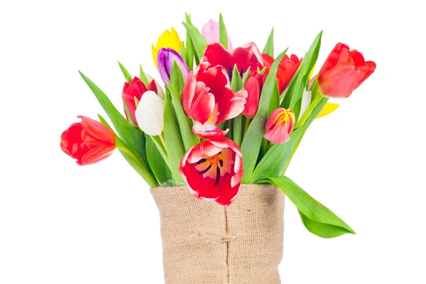 Tulpen in de zak — Stockfoto