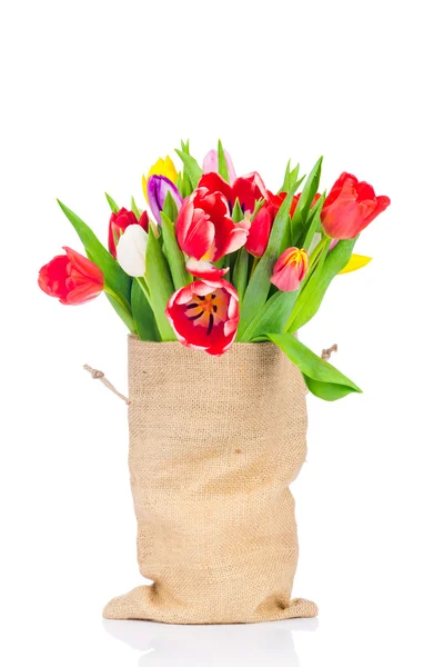 Tulipes dans le sac — Photo