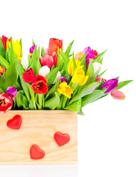 Смешайте тюльпаны в коробке — стоковое фото