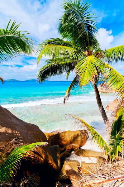 Tropisch strand. — Stockfoto