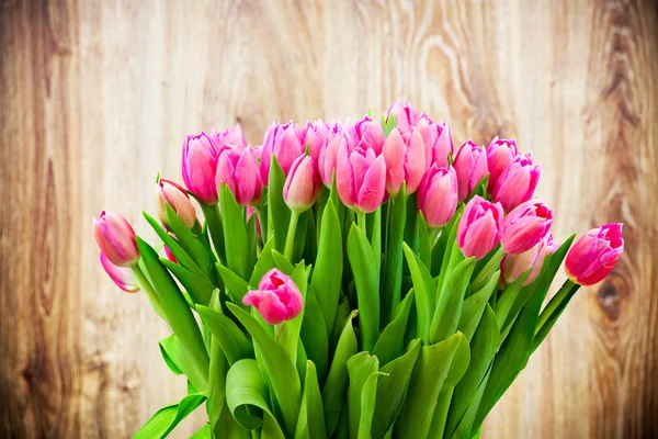 Tulpen Bloemen — Stockfoto