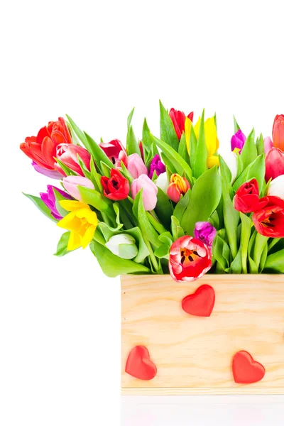 Tulipanes en la caja sobre fondo blanco —  Fotos de Stock