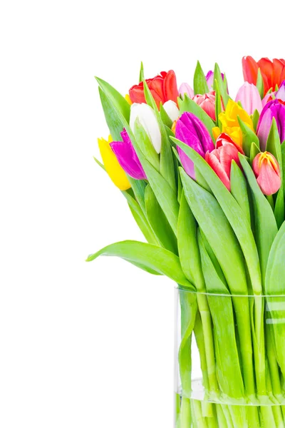 Tulpen in de vaas — Stockfoto