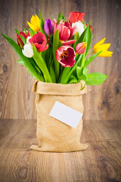 Misture tulipas no saco em fundo de madeira — Fotografia de Stock