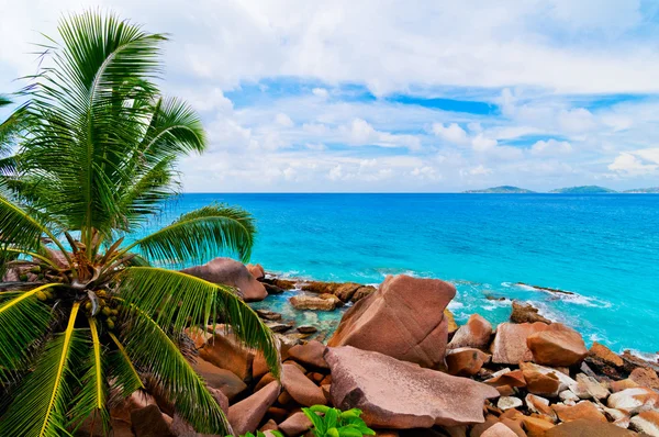 Praia tropical. — Fotografia de Stock