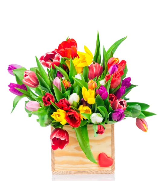 Тюльпаны в коробке на белом фоне — стоковое фото