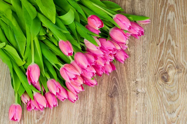 Tulipani Fiori — Foto Stock