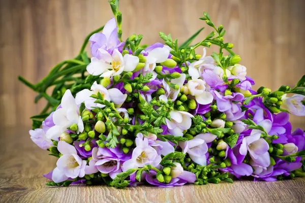 Freesia flowers — Stock Photo, Image