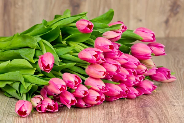 Tulips flowers — Stock Photo, Image