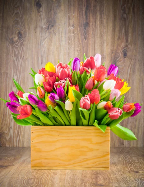 Tulpen im Kasten auf Holzgrund — Stockfoto