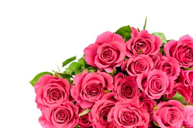 Beyaz arkaplanda taze kırmızı güller