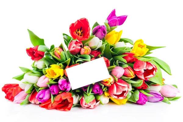 Tulips with white blank card — Stock Photo, Image