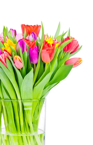 Tulipani nel vaso — Foto Stock
