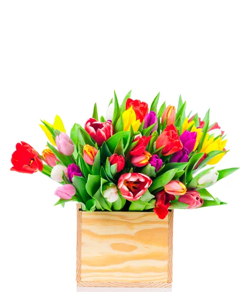 Tulips flowers in the box — Stock Photo, Image