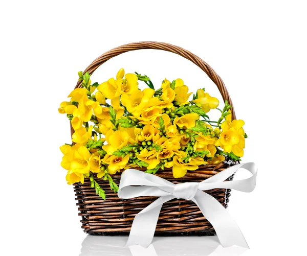 Yellow freesia flowers — Stock Photo, Image