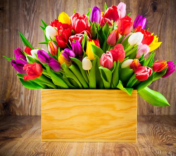 Tulips in the box — Stock Photo, Image