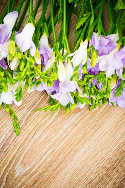 Lila frézia virág — Stock Fotó