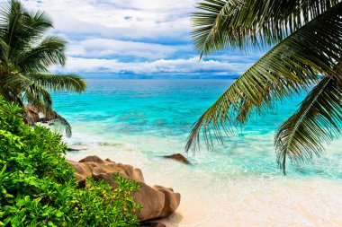 Beach of Seychelles clipart