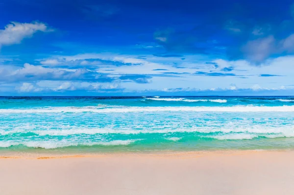 Tropical beach — Stock Photo, Image