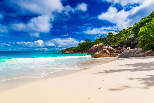 Tropical beach — Stock Photo, Image