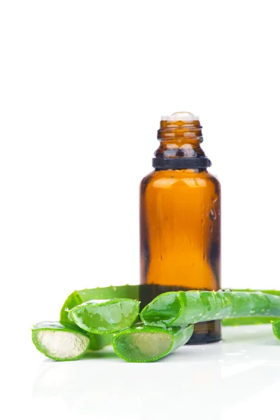 Aloe mit Flaschenextrakt — Stockfoto