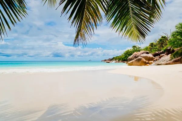 Tropisch strand — Stockfoto