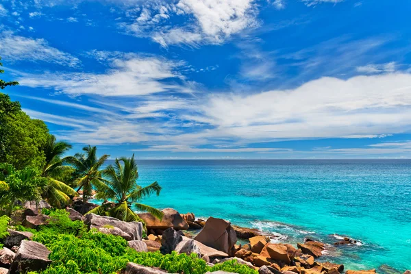 Tropical beach — Stock Photo, Image