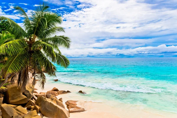 Praia de Seychelles — Fotografia de Stock