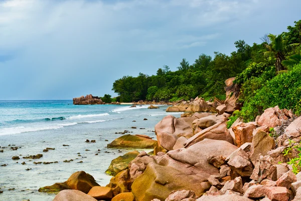 Seychellien ranta — kuvapankkivalokuva