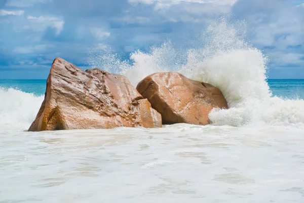 Tropical beach — Stock Photo, Image