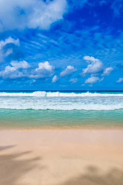 Tropical beach — Stock Photo, Image