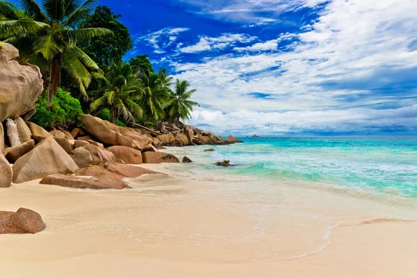 Beach of Seychelles — Stock Photo, Image