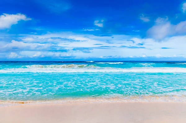 Tropical beach — Stock Photo, Image