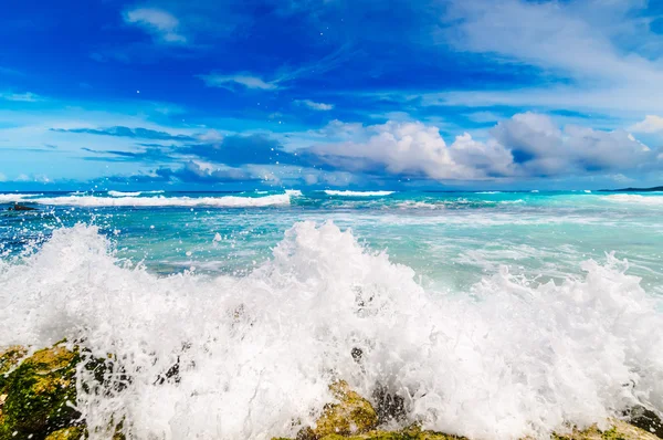 Tropiska havet. — Stockfoto