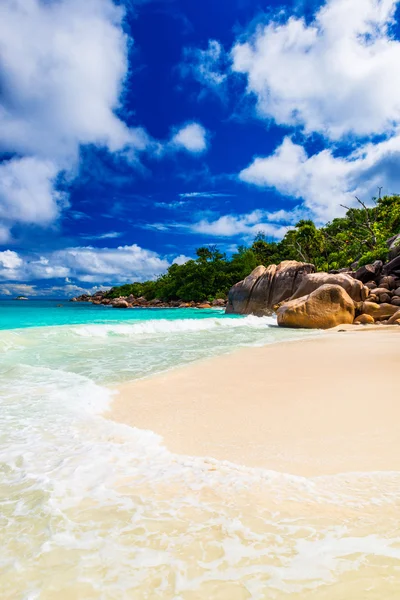 Spiaggia tropicale — Foto Stock