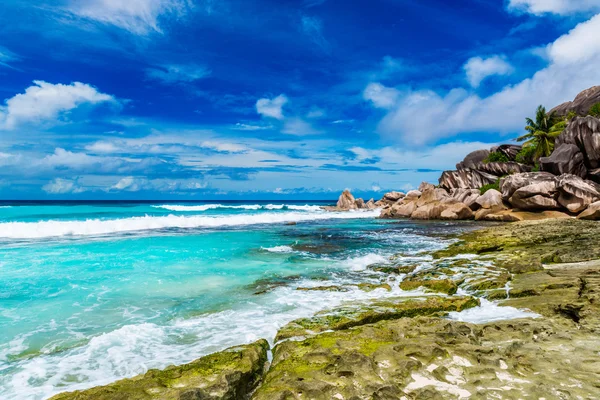 Praia de Seychelles — Fotografia de Stock