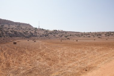 Kıbrıs alan peyzaj