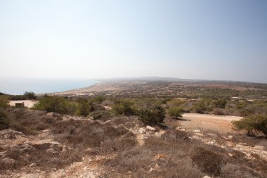 Kıbrıs alan peyzaj