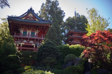 Japonya Bahçe san francisco