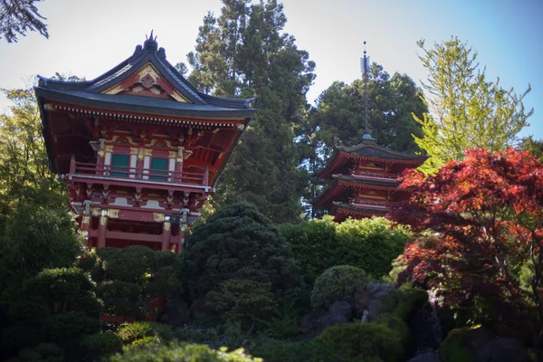 Japonya Bahçe san francisco