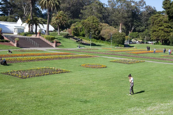 Academia de flores San Francisco — Fotografia de Stock
