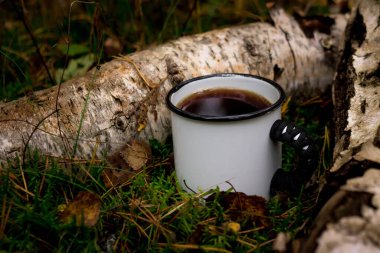 Ormanda bir fincan çay. Orman geçmişi. Yosun ve yapraklar