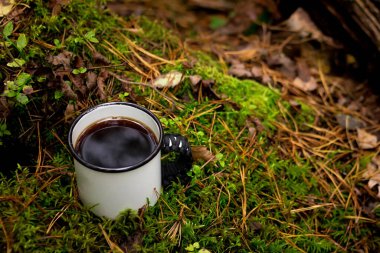 Ormanda bir fincan çay. Orman geçmişi. Yosun ve yapraklar. Düz çizgi.