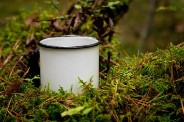 Ormanda bir fincan çay. Orman geçmişi. Yosun ve yapraklar