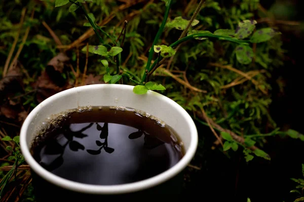 森の中でお茶を一杯 森林を背景に 苔と葉 平置き — ストック写真