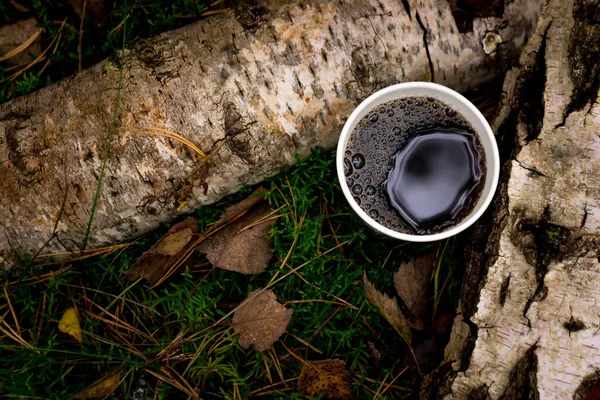 森の中でお茶を一杯 森林を背景に 苔と葉 平置き — ストック写真