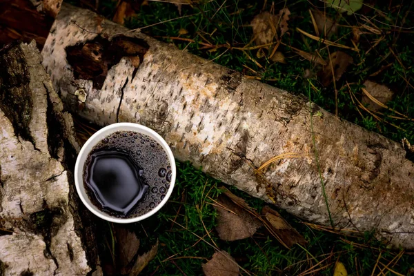 森の中でお茶を一杯 森林を背景に 苔と葉 平置き — ストック写真