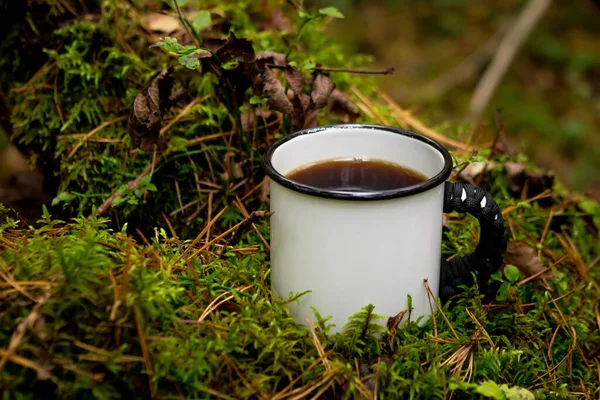 森の中でお茶を一杯 森林を背景に 苔と葉 — ストック写真